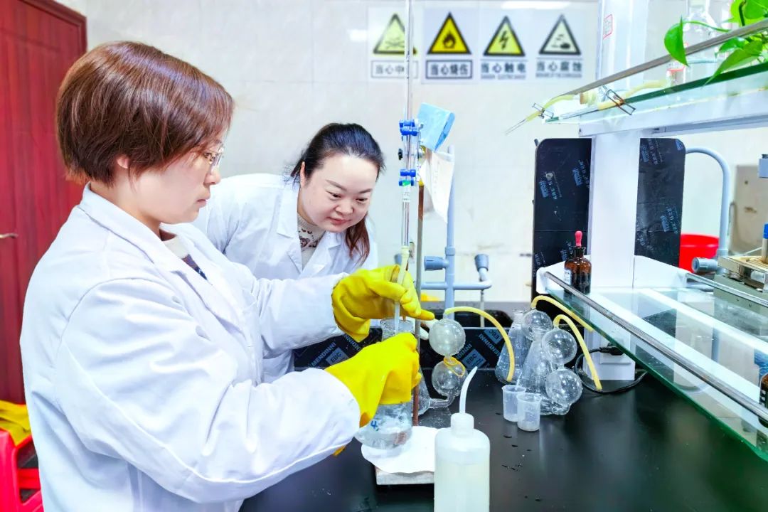 【宜化榜樣】股份公司黃冬燕：立足分析崗位，爭當技術(shù)能手(圖5)