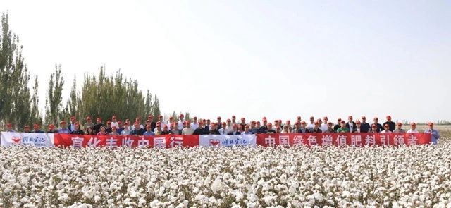 宜化豐收中國行！新疆棉花大型測(cè)產(chǎn)觀摩會(huì)成功舉行(圖1)