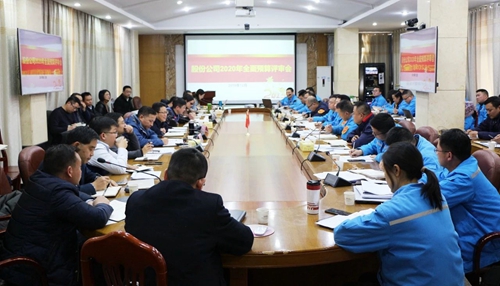 王大真調(diào)研指導(dǎo)股份公司、化機(jī)公司和TMP新項(xiàng)目2020年財(cái)務(wù)預(yù)算工作