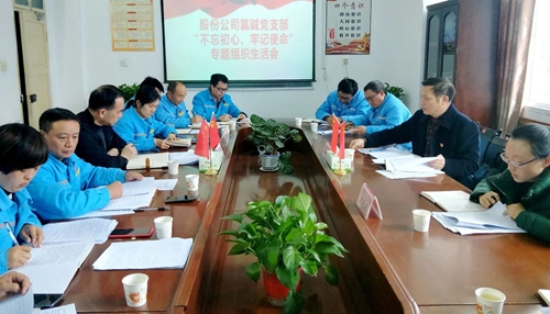 向宇飛列席指導(dǎo)股份公司氯堿黨支部“不忘初心、牢記使命”專題組織生活會(huì)
